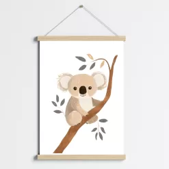 koala obraz